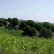 19-cesta z Elbasanu do Tirany
