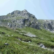 10-Galiica